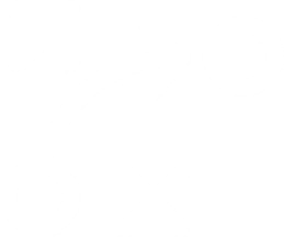 Individuelle Strategien icon weiß